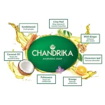 Chandrika2