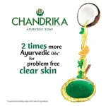 Chandrika2