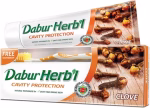 DaburHerbalCLOVEtoothpaste_360x1