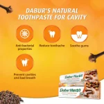 DaburHerbalCLOVEtoothpaste_360x1