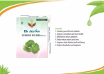 GinkgoBilopaTablets_3333