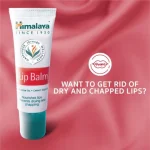 LipBalm3