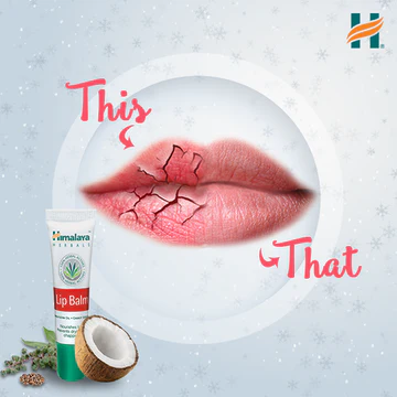 LipBalm4
