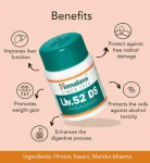 Himalaya Liv. 52 DS 60's