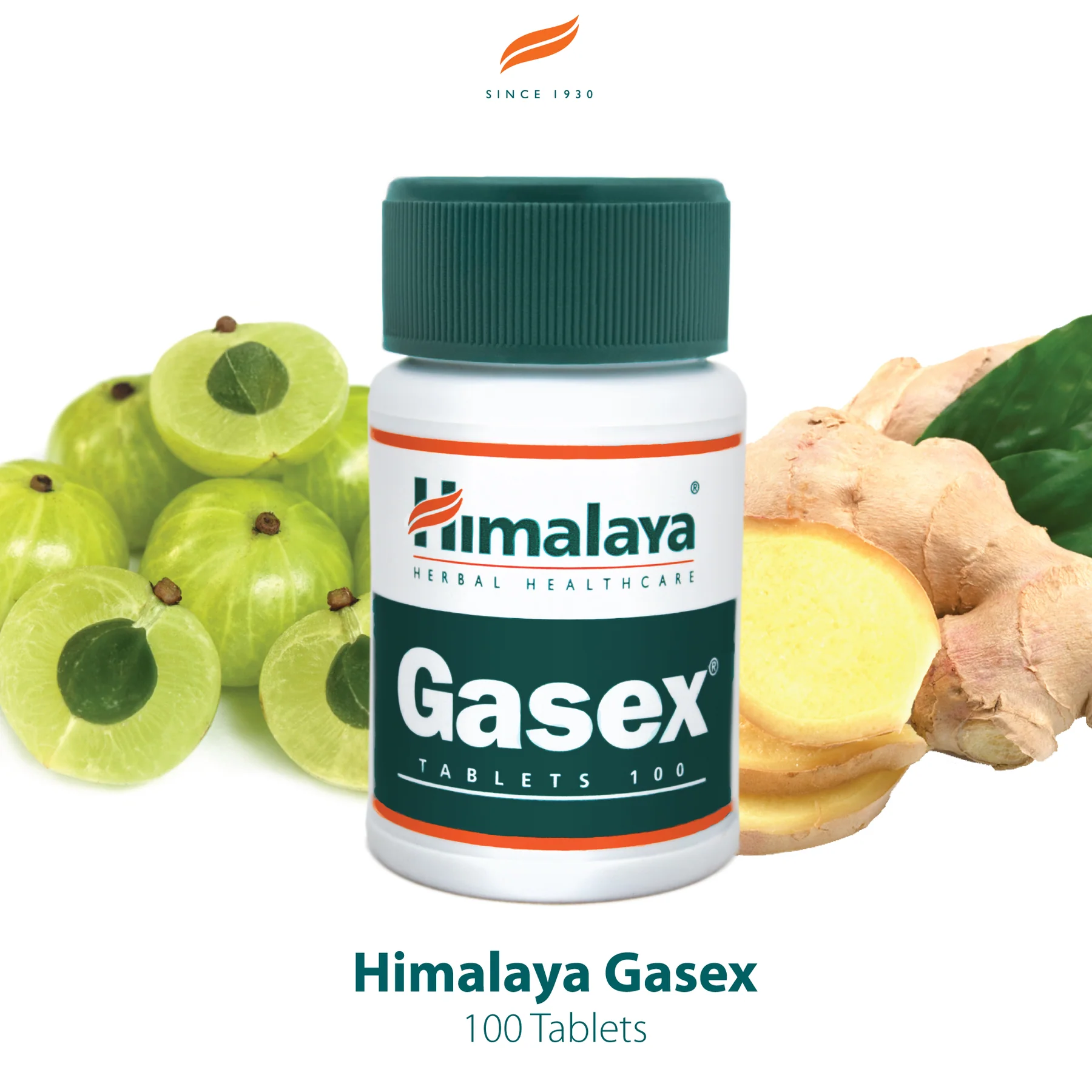 gasex4