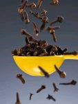 CLOVES